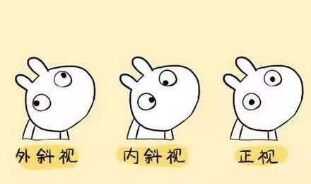 1573722051798169.jpg 圖3.jpg